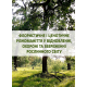 Флористичне і ценотичне різноманіття у відновленні, охороні та збереженні рослинного світу